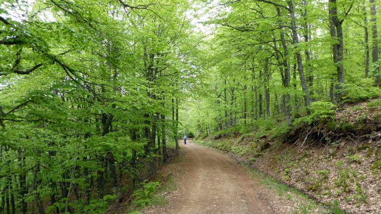9 mejores rutas de senderismo por la montaña Palentina